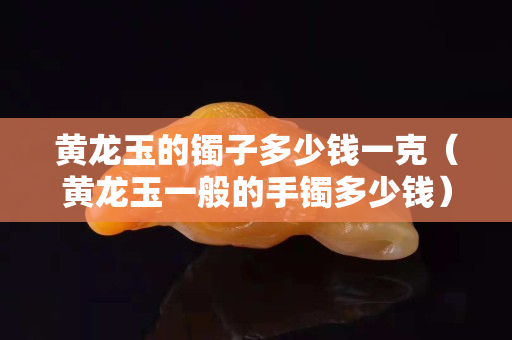 黃龍玉的鐲子多少錢一克（黃龍玉一般的手鐲多少錢）