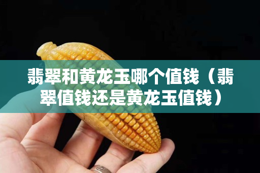 翡翠和黃龍玉哪個值錢（翡翠值錢還是黃龍玉值錢）