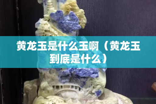 黃龍玉是什么玉啊（黃龍玉到底是什么）