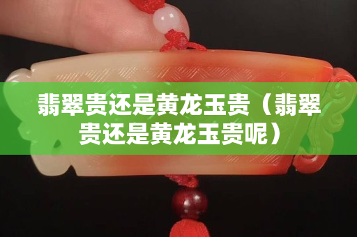 翡翠貴還是黃龍玉貴（翡翠貴還是黃龍玉貴呢）