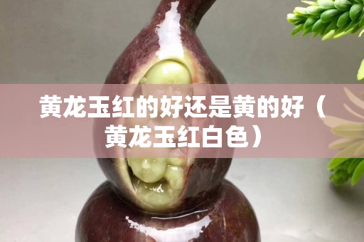 黃龍玉紅的好還是黃的好（黃龍玉紅白色）