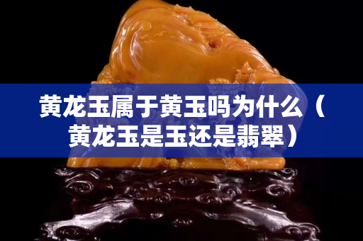 黃龍玉屬于黃玉嗎為什么（黃龍玉是玉還是翡翠）