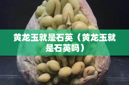 黃龍玉就是石英（黃龍玉就是石英嗎）