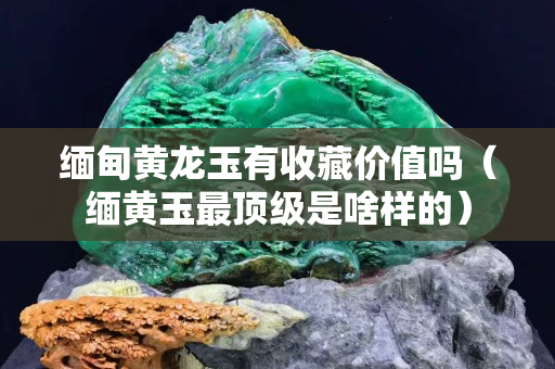 緬甸黃龍玉有收藏價值嗎（緬黃玉最頂級是啥樣的）