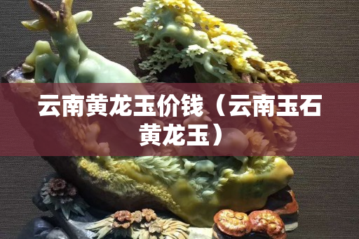 云南黃龍玉價錢（云南玉石黃龍玉）