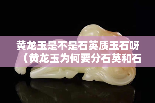 黃龍玉是不是石英質玉石呀（黃龍玉為何要分石英和石英玉）