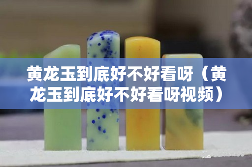 黃龍玉到底好不好看呀（黃龍玉到底好不好看呀視頻）