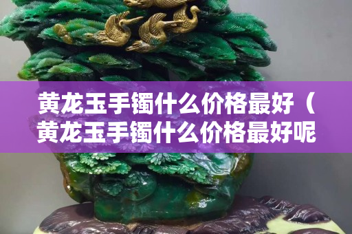 黃龍玉手鐲什么價格最好（黃龍玉手鐲什么價格最好呢）