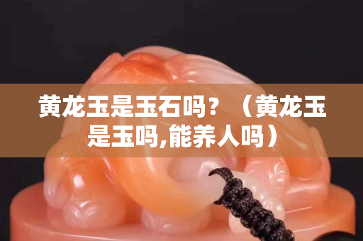 黃龍玉是玉石嗎？（黃龍玉是玉嗎,能養人嗎）