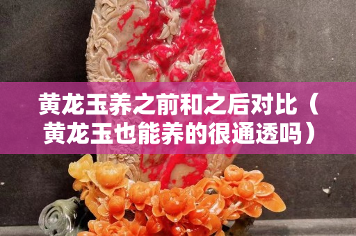 黃龍玉養之前和之后對比（黃龍玉也能養的很通透嗎）