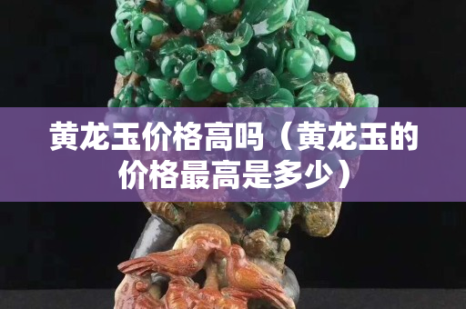 黃龍玉價格高嗎（黃龍玉的價格最高是多少）