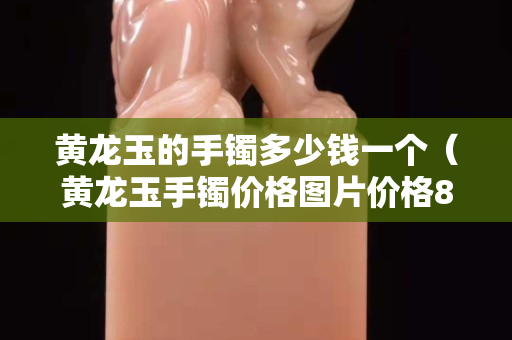 黃龍玉的手鐲多少錢一個（黃龍玉手鐲價格圖片價格800左右）