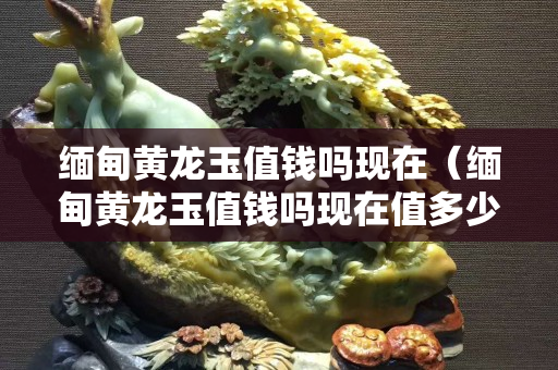 緬甸黃龍玉值錢嗎現(xiàn)在（緬甸黃龍玉值錢嗎現(xiàn)在值多少錢）