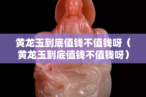 黃龍玉到底值錢不值錢呀（黃龍玉到底值錢不值錢呀）