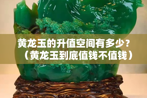 黃龍玉的升值空間有多少？（黃龍玉到底值錢(qián)不值錢(qián)）