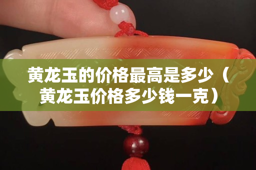 黃龍玉的價格最高是多少（黃龍玉價格多少錢一克）