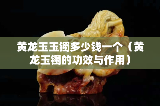 黃龍玉玉鐲多少錢一個（黃龍玉鐲的功效與作用）