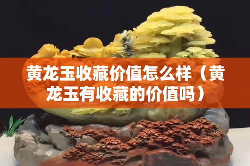 黃龍玉收藏價(jià)值怎么樣（黃龍玉有收藏的價(jià)值嗎）