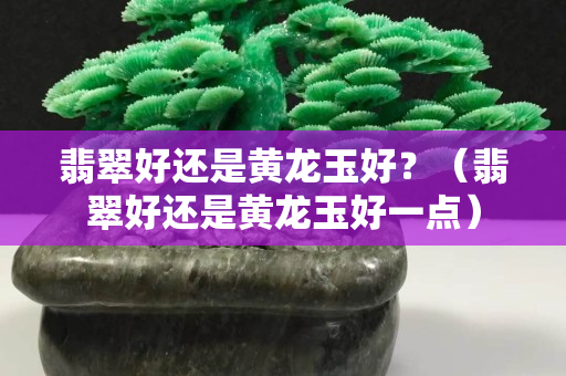 翡翠好還是黃龍玉好？（翡翠好還是黃龍玉好一點）