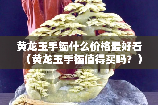 黃龍玉手鐲什么價格最好看（黃龍玉手鐲值得買嗎？）