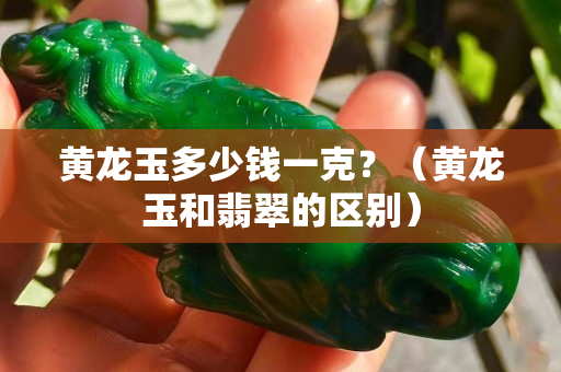 黃龍玉多少錢一克？（黃龍玉和翡翠的區別）