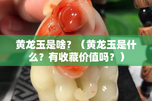 黃龍玉是啥？（黃龍玉是什么？有收藏價值嗎？）