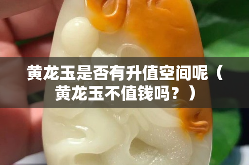 黃龍玉是否有升值空間呢（黃龍玉不值錢嗎？）