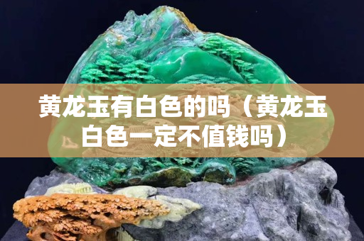 黃龍玉有白色的嗎（黃龍玉白色一定不值錢嗎）