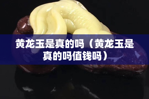 黃龍玉是真的嗎（黃龍玉是真的嗎值錢嗎）