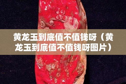 黃龍玉到底值不值錢呀（黃龍玉到底值不值錢呀圖片）