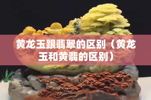 黃龍玉跟翡翠的區別（黃龍玉和黃翡的區別）