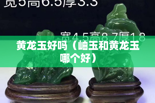 黃龍玉好嗎（岫玉和黃龍玉哪個好）