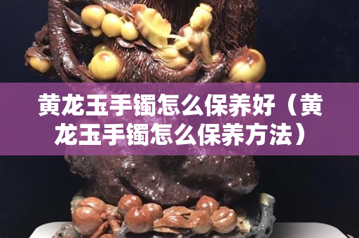 黃龍玉手鐲怎么保養(yǎng)好（黃龍玉手鐲怎么保養(yǎng)方法）