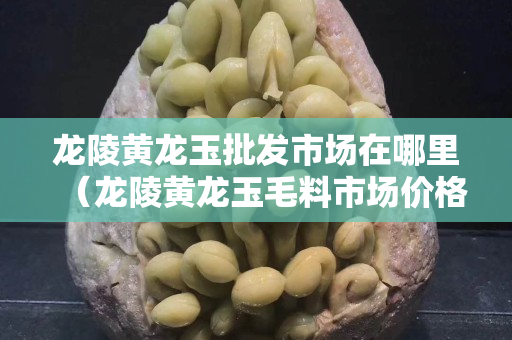 龍陵黃龍玉批發市場在哪里（龍陵黃龍玉毛料市場價格）