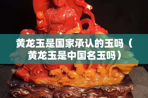 黃龍玉是國家承認的玉嗎（黃龍玉是中國名玉嗎）