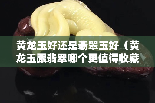黃龍玉好還是翡翠玉好（黃龍玉跟翡翠哪個更值得收藏）