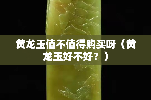黃龍玉值不值得購買呀（黃龍玉好不好？）