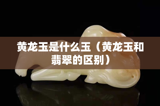 黃龍玉是什么玉（黃龍玉和翡翠的區別）