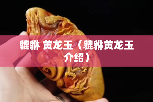 貔貅 黃龍玉（貔貅黃龍玉介紹）