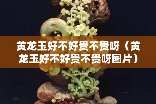 黃龍玉好不好貴不貴呀（黃龍玉好不好貴不貴呀圖片）