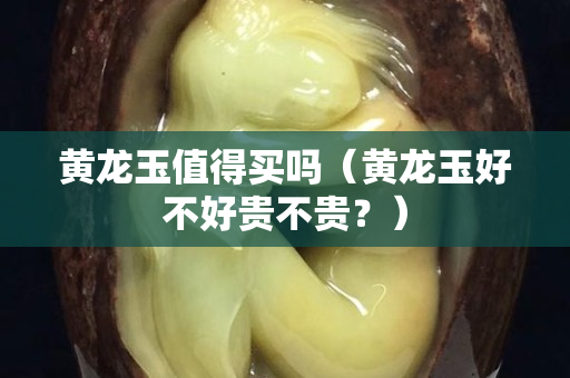 黃龍玉值得買嗎（黃龍玉好不好貴不貴？）
