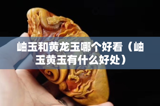 岫玉和黃龍玉哪個好看（岫玉黃玉有什么好處）