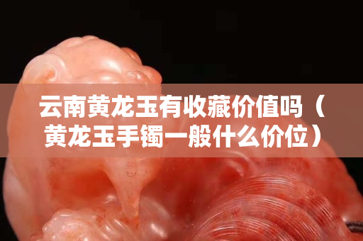 云南黃龍玉有收藏價值嗎（黃龍玉手鐲一般什么價位）