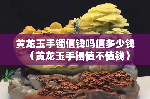 黃龍玉手鐲值錢嗎值多少錢（黃龍玉手鐲值不值錢）
