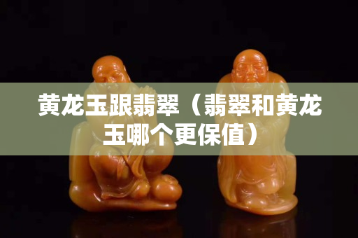 黃龍玉跟翡翠（翡翠和黃龍玉哪個更保值）