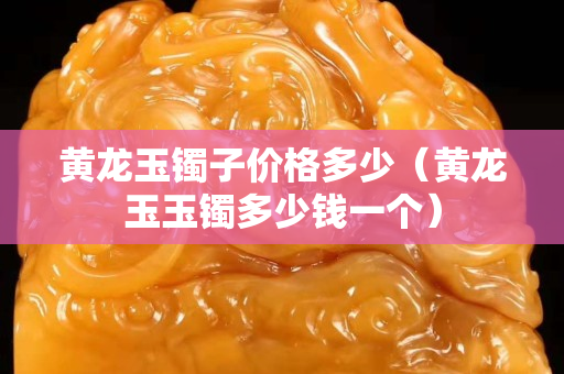 黃龍玉鐲子價格多少（黃龍玉玉鐲多少錢一個）