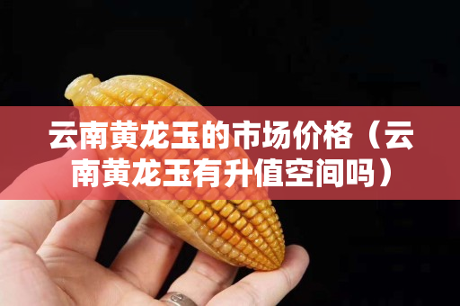 云南黃龍玉的市場(chǎng)價(jià)格（云南黃龍玉有升值空間嗎）