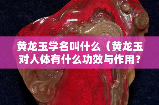 黃龍玉學名叫什么（黃龍玉對人體有什么功效與作用？）