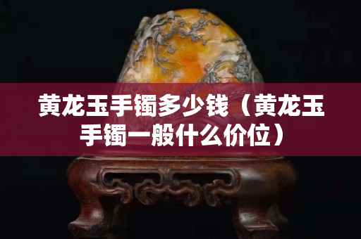 黃龍玉手鐲多少錢（黃龍玉手鐲一般什么價位）
