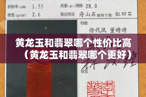 黃龍玉和翡翠哪個性價比高（黃龍玉和翡翠哪個更好）